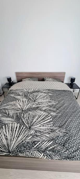 T2 Pool & Terrasse - Parking - Metro - Wifi Apartment Toulouse Ngoại thất bức ảnh